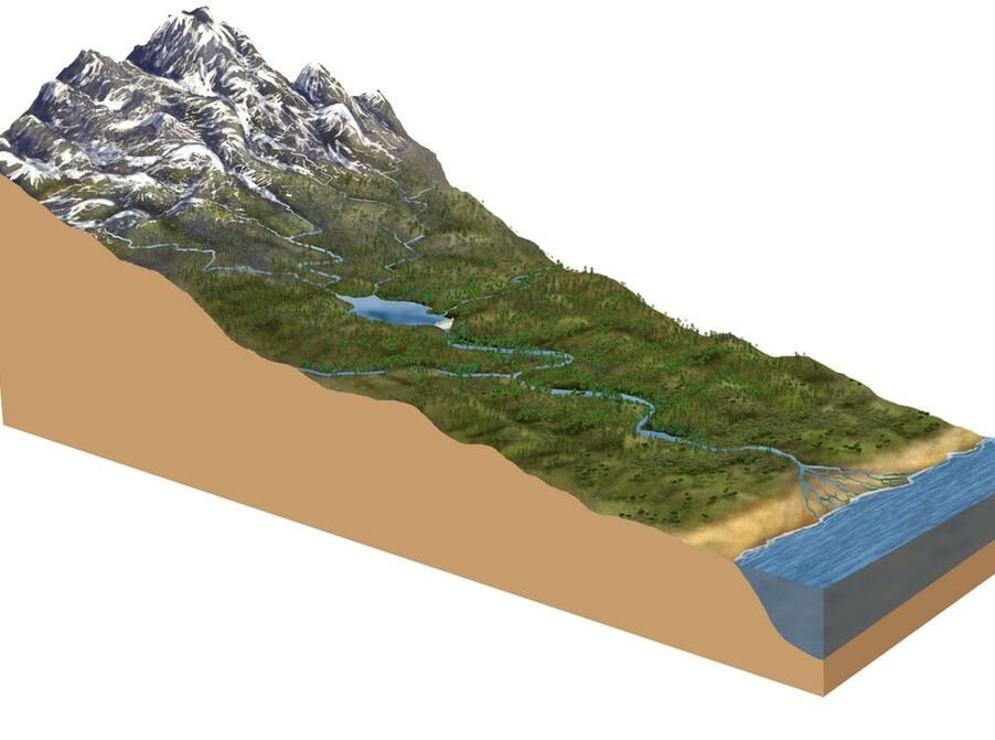 Engineering survey field project