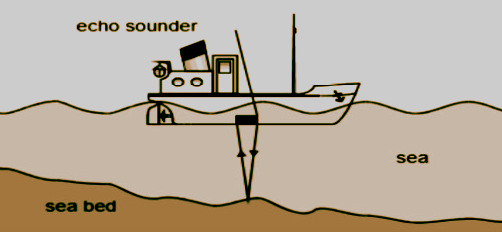Goodland Surveys field project